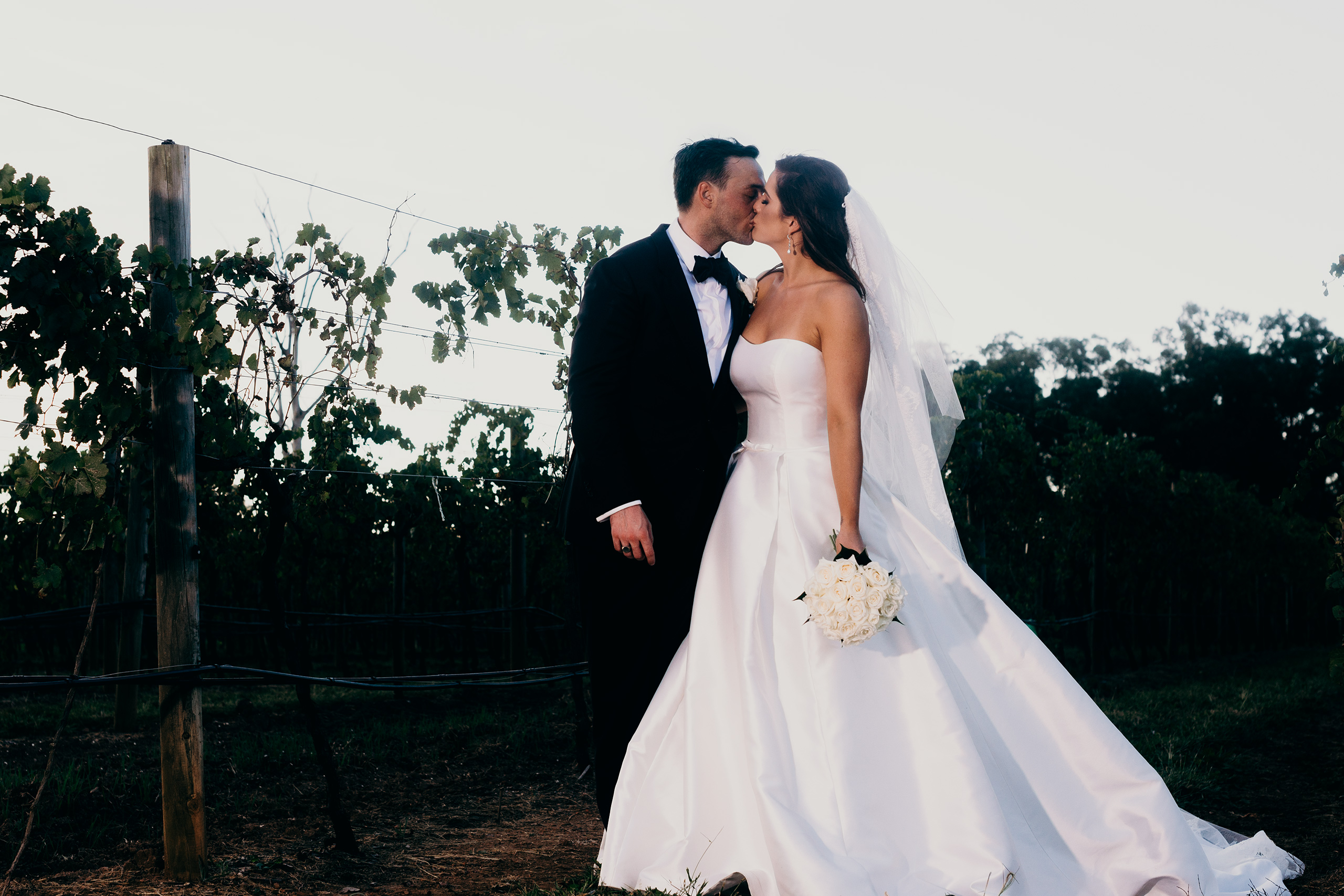 Bride and groom kissing in the vineyard image