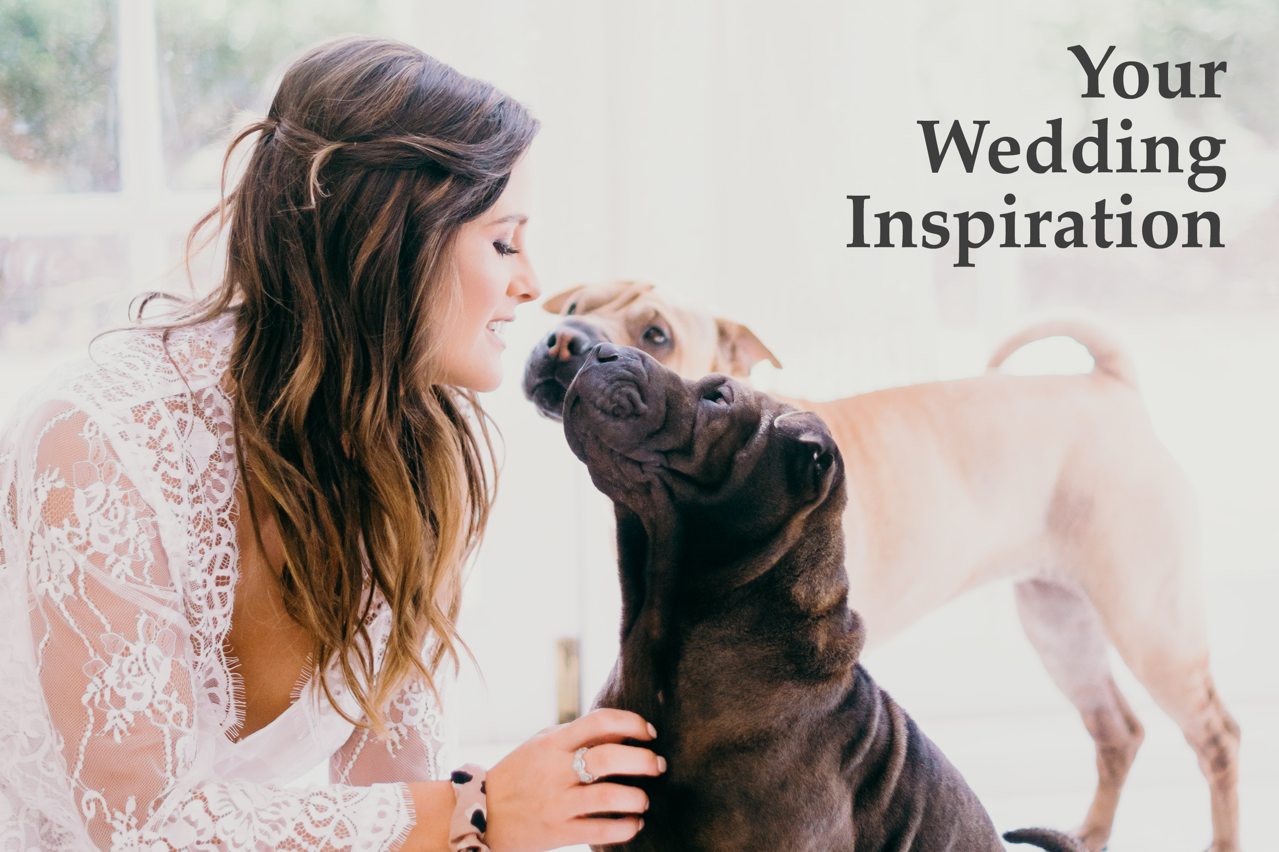 Brides image with her loving pups