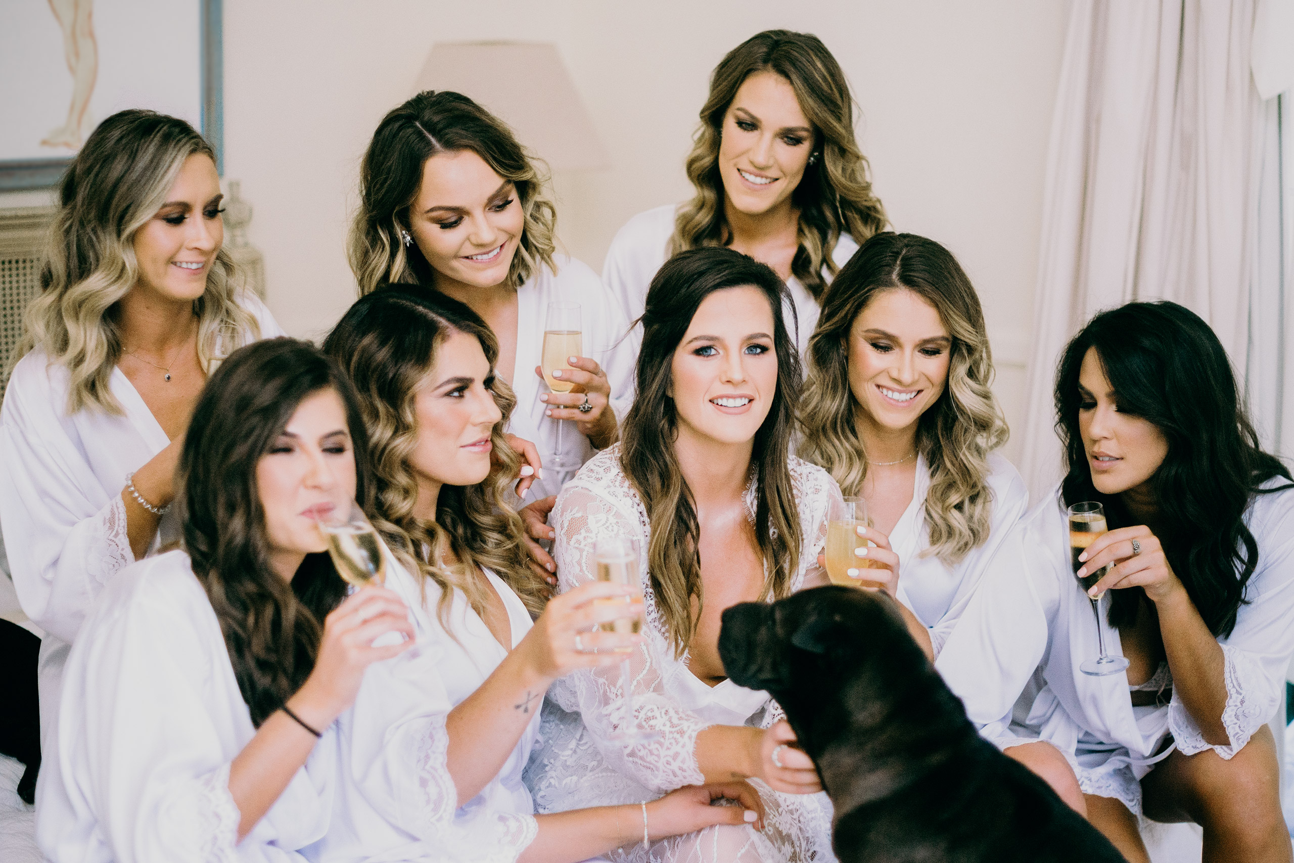 Bride, bridesmaids and dog image